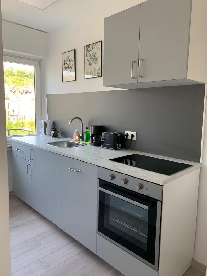 The Hiker City Apartment Koblenz  Kültér fotó